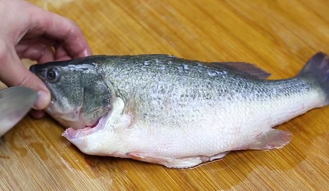 清蒸鲈鱼，记住不要放盐，诀窍告诉你，鱼肉鲜嫩好吃，不腥不柴