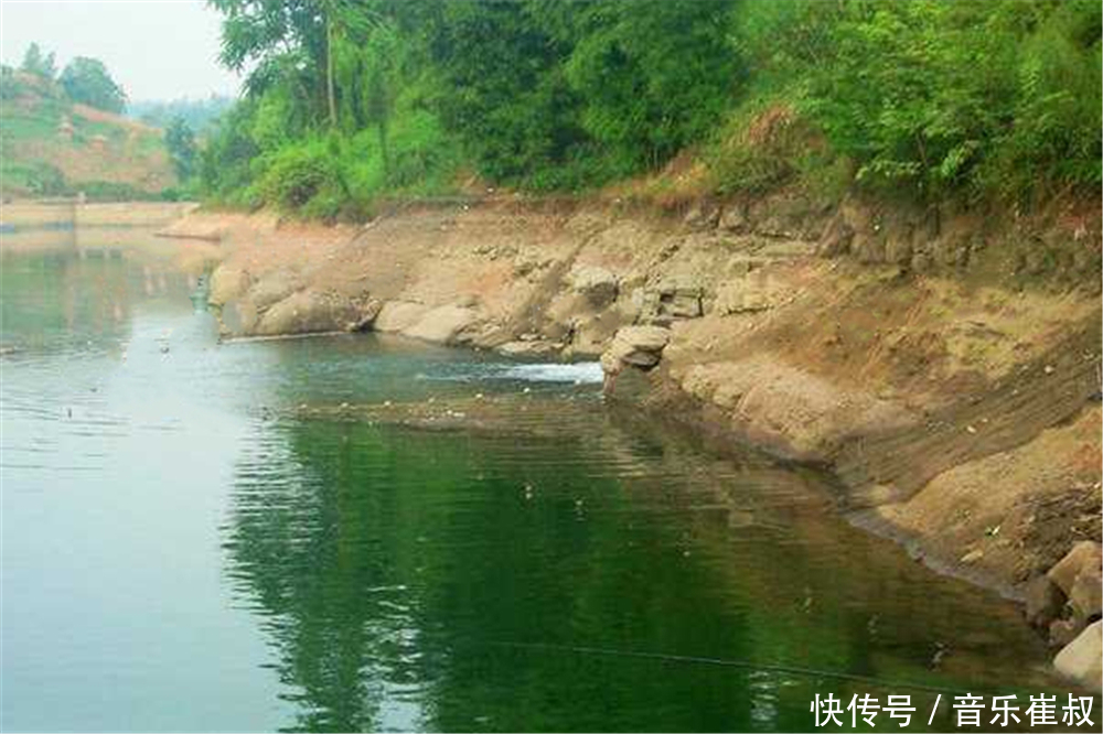 春末钓鲫鱼的5个绝佳钓点,气温开始升高,鲫鱼位置又有变化