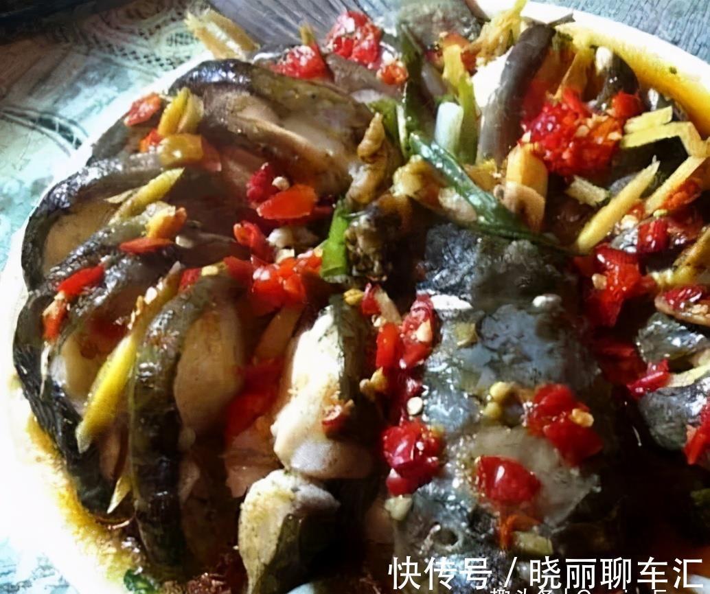 杂粮饼|严选10余款菜肴推荐,意想不到的味道,让你变着花样做三餐