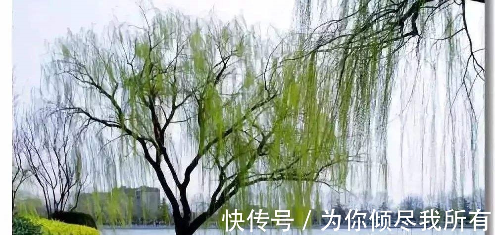 唐肃宗#安史之乱后,才子派人冲回长安寻找爱妾,写下亦诗亦词的千古佳作!