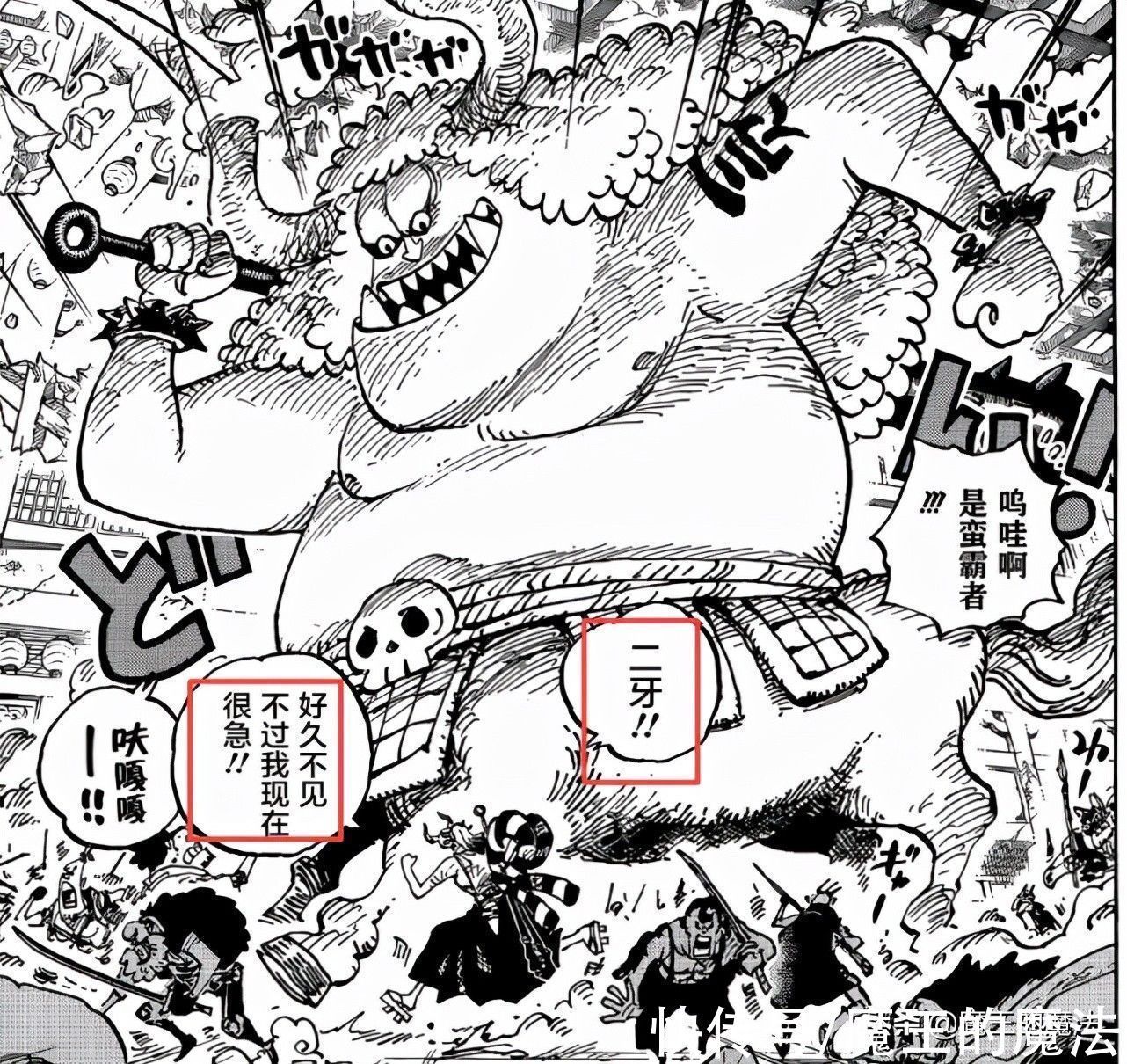 海贼王|海贼王1032话分析:二牙的身份成迷,CP0小队大战德普联盟