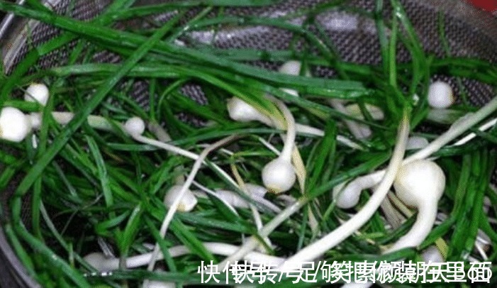 苦瓜|蔬菜中公认最难吃的七种，如果全吃过的，只能说很服气了