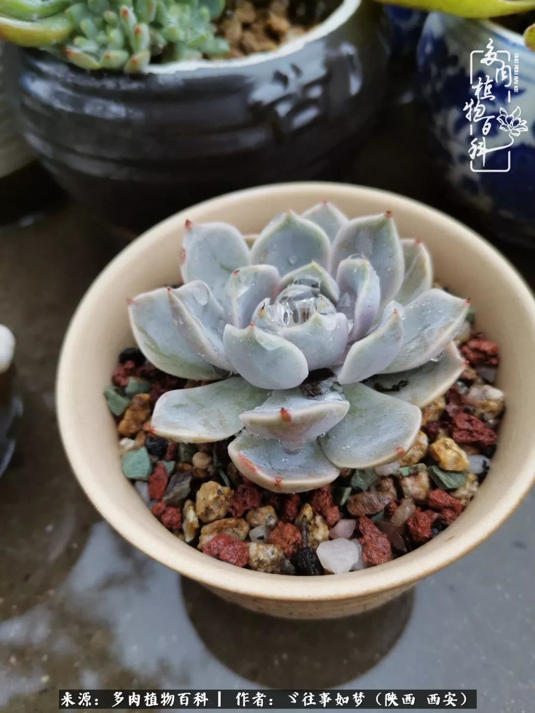 愿你付出甘之如饴,愿你所得归于欢喜!