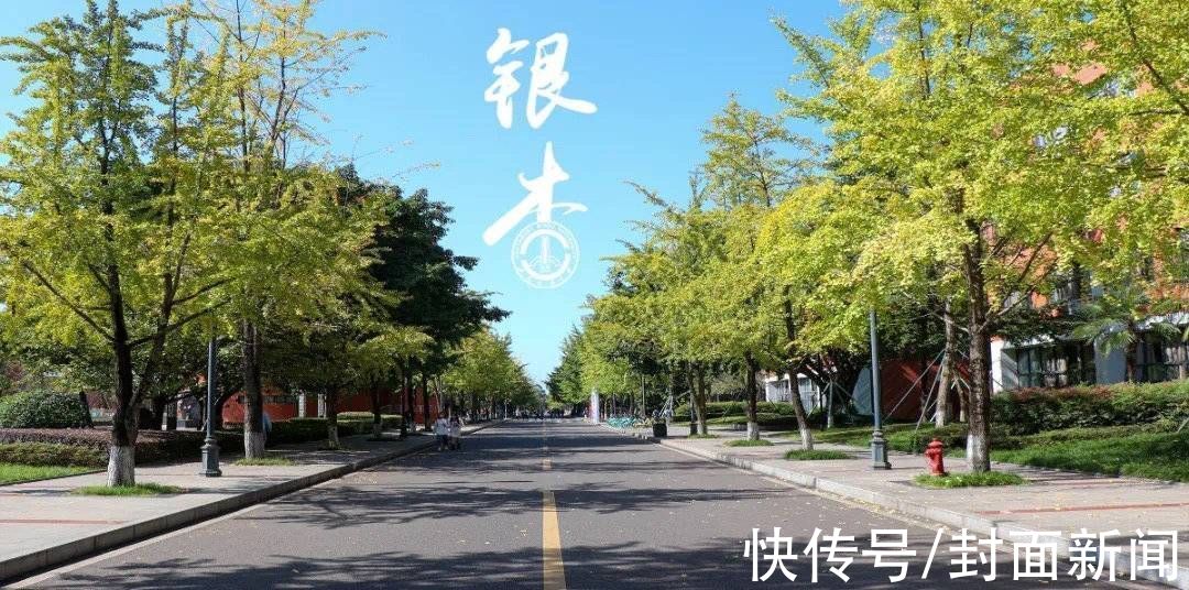 成都信息工程大学|多图警告｜数数川内高校到底承包了多少棵银杏树？