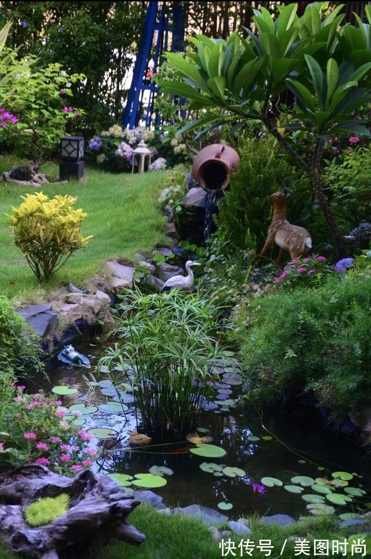 三角梅|120㎡别墅花园改造,经过三年的努力,小院从荒地到花开满园