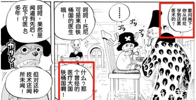 王国|海贼王大佬推测磁鼓国的面积与人口,它的地位高是因为医疗技术