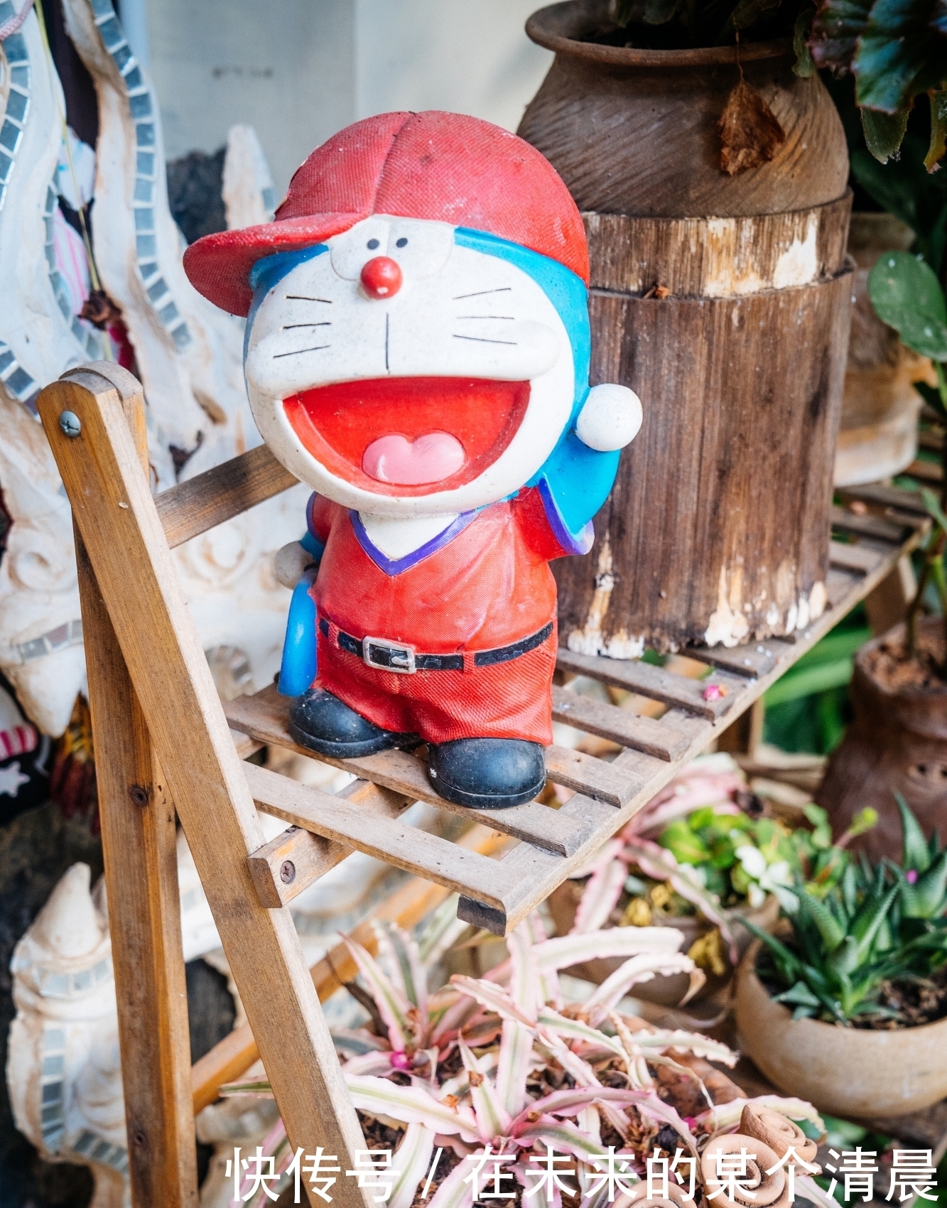 今年去不了泰国,赶紧把版纳列入旅游计划吧