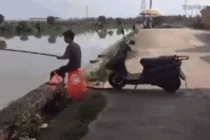 |搞笑GIF:太不像话了 我等了这么久你居然给我看这个