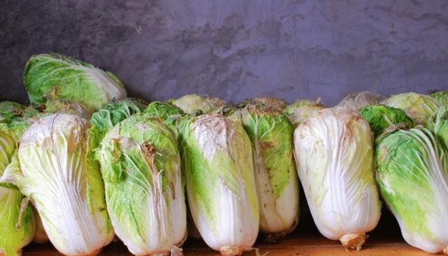 为什么专家建议白菜要少吃,最好是不要吃看完很是受益