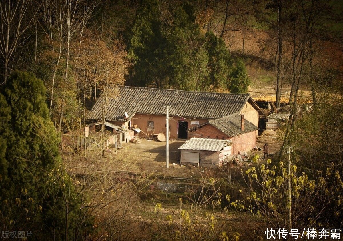  树木|农村俗语“门前不栽竹，屋后不种树”，这是为何呢？有道理吗？