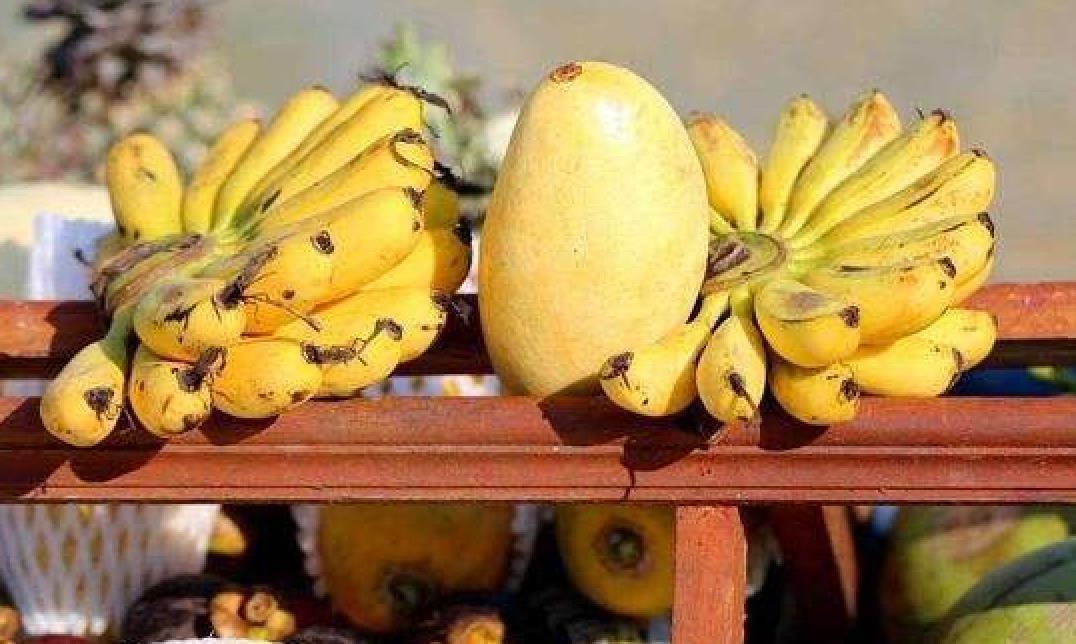 剩菜|转告爸妈:下列8种食物吃不完,宁愿坏掉也别往冰箱里放