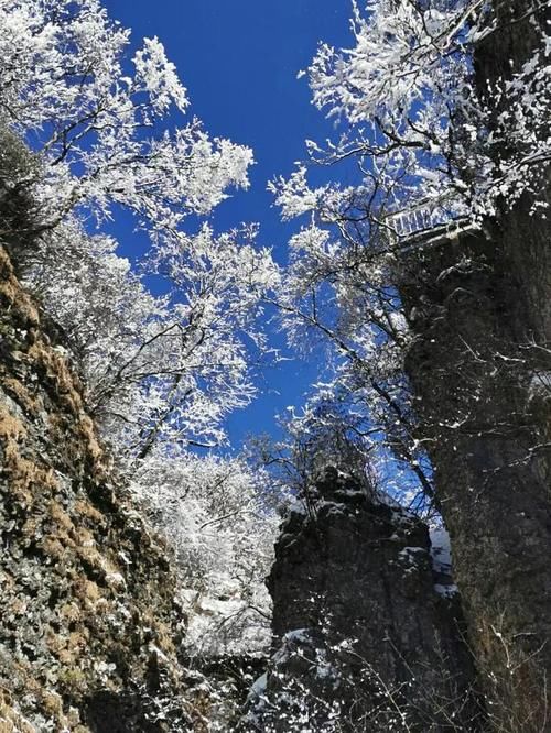 陕西省汉中龙头山赏雪之旅，游记感受！