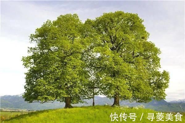 担柴汉|让心静下来的50首禅诗,哪一句触动了你