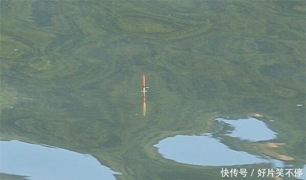 冬季钓鲫鱼,水温低鱼口轻,硬尾浮漂和软尾浮漂,哪种更好用?