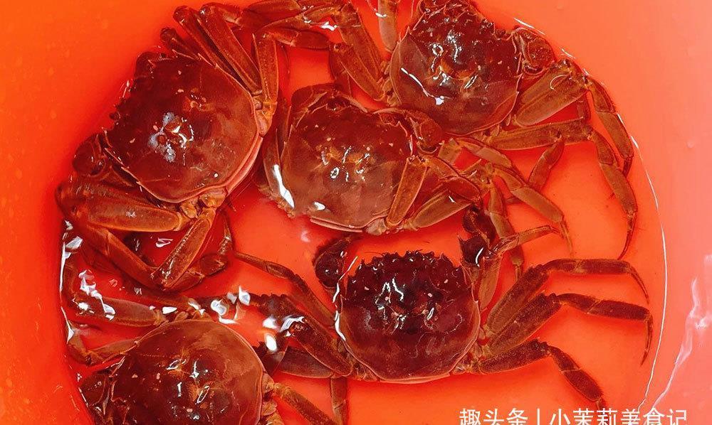 渔民|保存螃蟹,最忌直接放冰箱,老渔民教我2招,放一周都鲜活不变瘦
