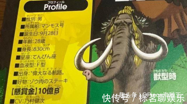 白胡子|海贼王四皇团之最,红发是最年轻四皇,四皇团最年轻高级干部是他