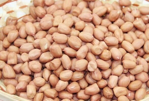 生花生和熟花生哪种对身体更健康 听听营养专家怎么说的!