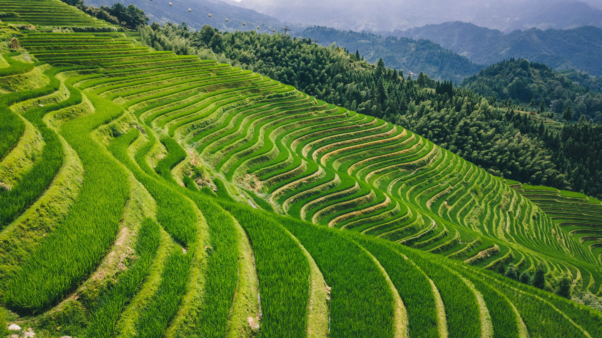 礴势壮美，龙脊梯田