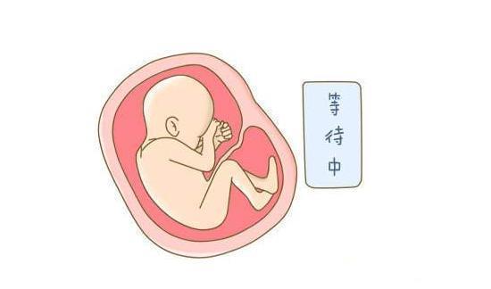 妈妈|临近预产期,胎宝宝都会在孕妈妈肚子里忙活这件事,你有感觉吗