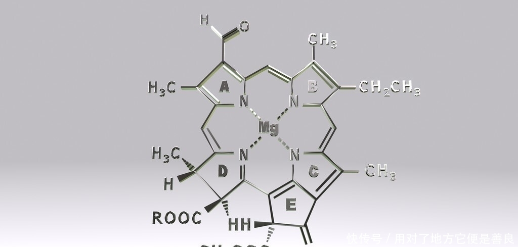 高考|2021高考：生物历年高考题型总结，包含2020年各地考卷