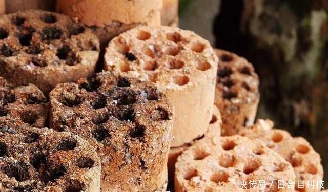 垃圾桶边的蜂窝煤渣,全被邻居偷偷捡回家,逼问才知有这奇用