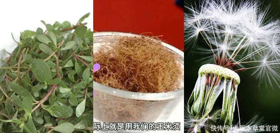 中国传统文化|7月不吃肉,也要吃这菜!被称为“天然抗生素”,常吃对身体好