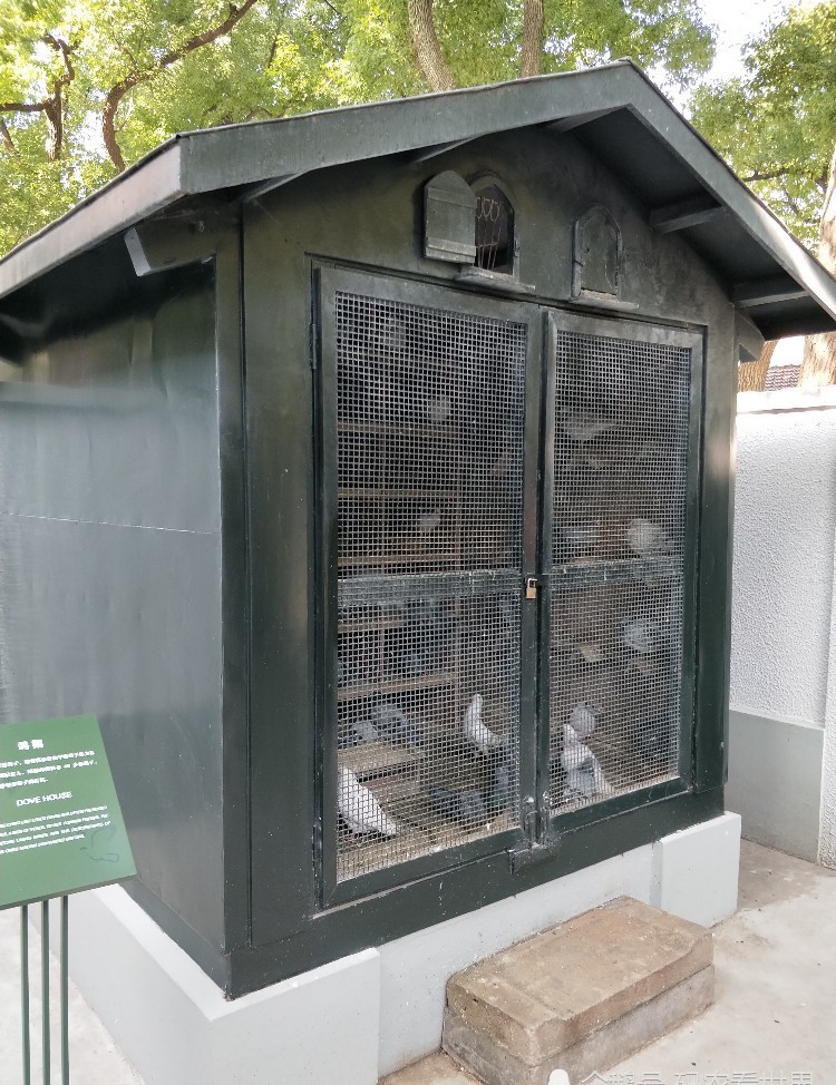 花园草坪|走进淮海路1843号,感受宋庆龄伟大光辉的一生