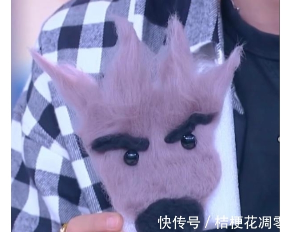 小狼|王一博一定有在很多节目里收的小玩具,羊毛毡小狼也被拿回家了