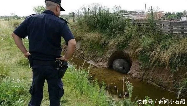 奇怪|小伙野外“钓鱼”,发现一个洞穴很奇怪,走进一看,值多少钱啊?