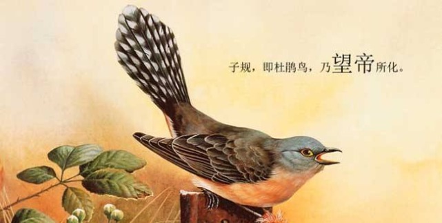 红楼梦春纤、雪雁、紫鹃,寓意黛玉一生三劫