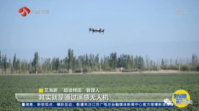 3000亩棉田，两个人自己种自己管！他们能做到吗？