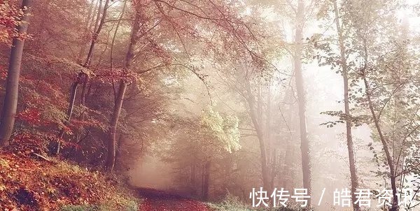 平和!聪明人不得不知的5条处事哲学,背下来,受用一生