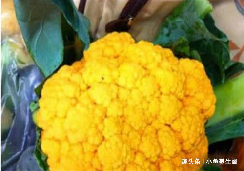 食物|冬天女性可以坚持吃4种食物,排出毒素,净化血液,滋养女性子宫