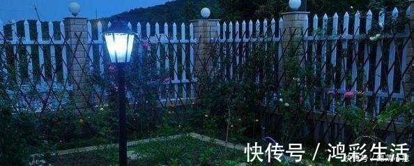 泳池|晒我的农村别墅,有花园有“泳池”,朋友都说堪比“世外桃源”!