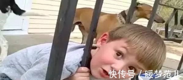 爸爸|外国小男孩头被栏杆卡住了,爸爸的处理让国人大开眼界