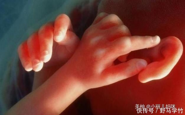 宝宝|怀孕后，若孕妈妈有3个“特殊”表现，说明孩子是个“聪明娃”