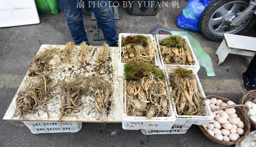 中朝边境的长白菜市场,人参像萝卜一样摆地上卖,有的商品真便宜