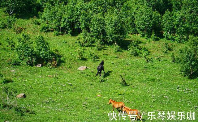 马儿|中国避暑的首选目的地，自驾爱好者的天堂，一路风景如画