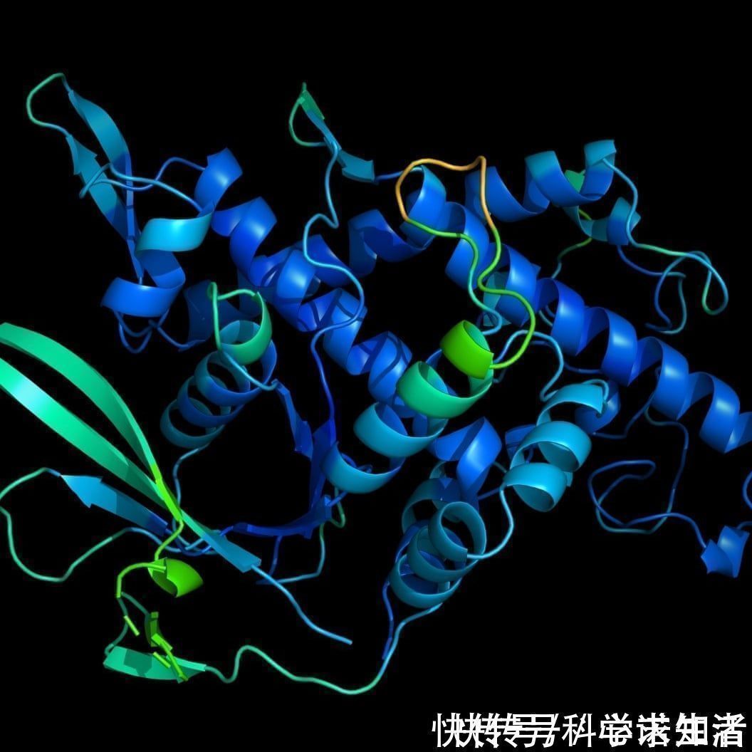 人工智能|没错,战胜柯洁的AI,已经开始解决困扰科学家50年的生物难题