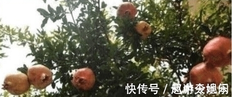 |沙雕动画,搞笑:骑二八大杠自行车比赛,最后留下了一生的阴影