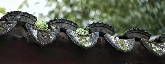  诗词|诗词丨8首佳作，标题仅1个字