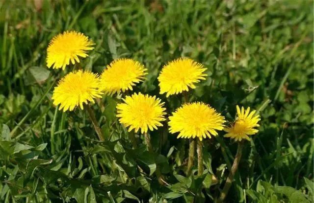 自然|为什么睡到半夜总是“自然醒”当心这2种情况,别再视若无睹