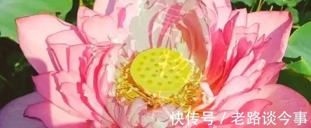 传统节日|一个冻龄古方!3味食材,美容养颜,补养气血,为你守住美丽!