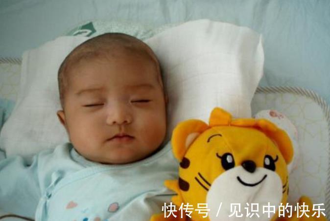 宝宝|萌娃电梯遇到女孩牵着狗,“礼貌性”的问答引热评