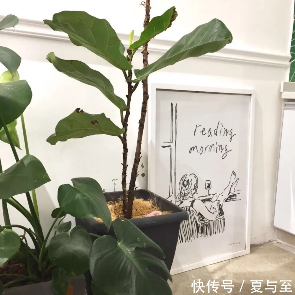 一段话！假期成长书单：5本值得一看的好书，温暖治愈，让你越来越好