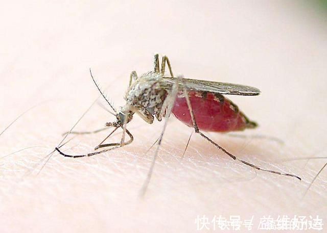 加油站|多少人还在买这几种房子,开发商巴不得送出去,入住才知多坑