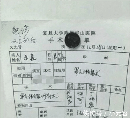 李鹤|乐嘉近况被曝生活滋润，养万元纯种大型犬！因劣迹太多曾被封杀！