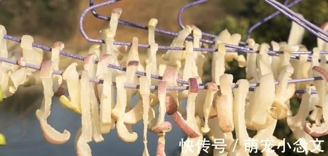 冰糖|这5种蔬菜晒干后,比新鲜的好吃太多!炖肉炒菜都行,放1年不坏