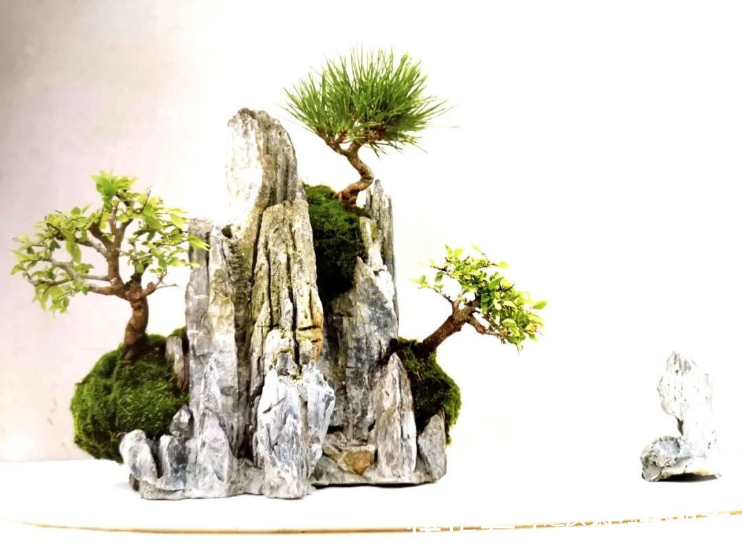 山水盆景不是非“水”不可，看山石与树木如何演绎一道山水盆景！