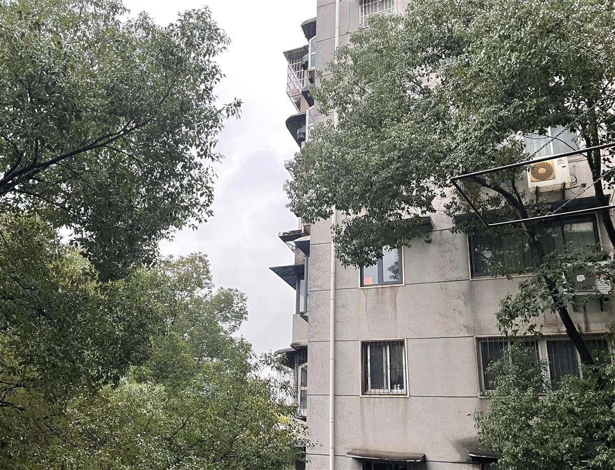 连日雨水洗尘，助武汉空气达到优级